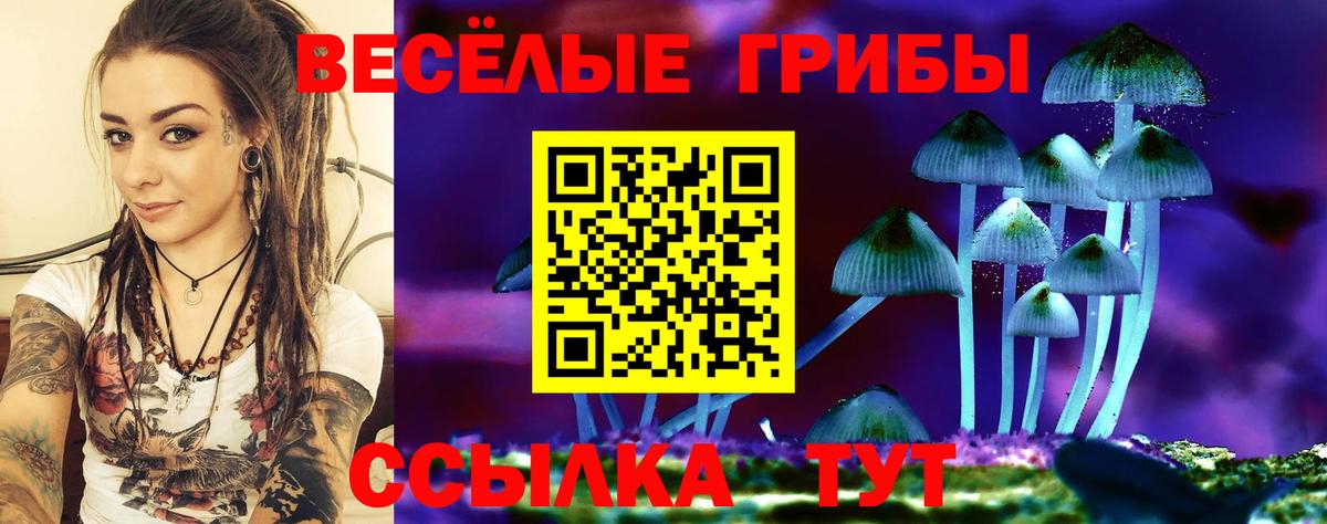 Псилоцибиновые грибы MAGIC MUSHROOMS  Вход с VPN  Северск 